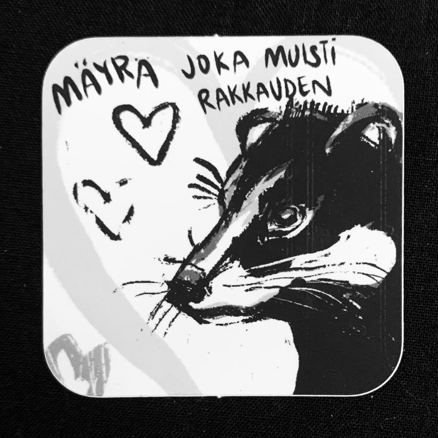 Tarra: Mäyrä joka muisti rakkauden
