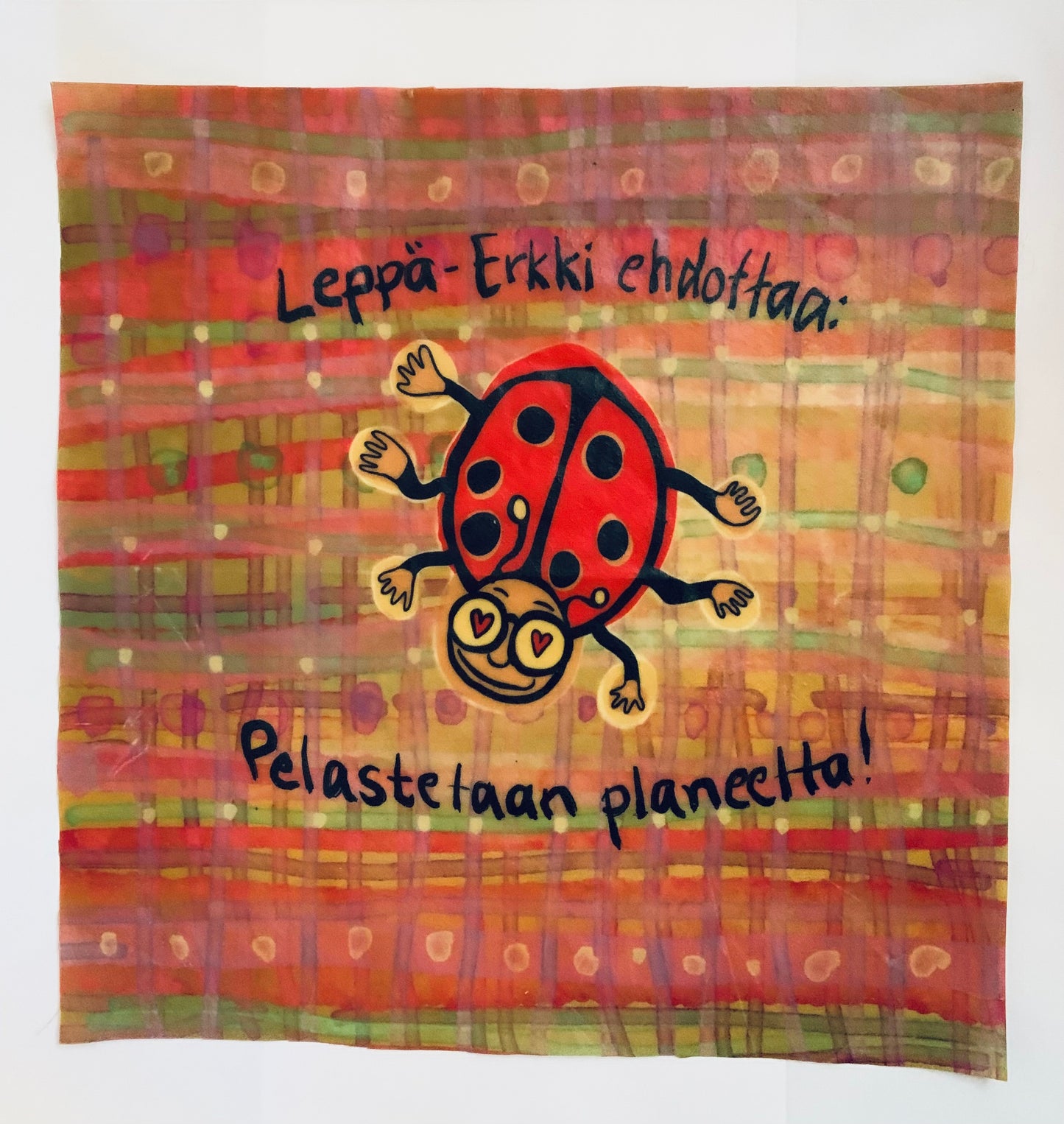 Leppä-Erkin ekokääre