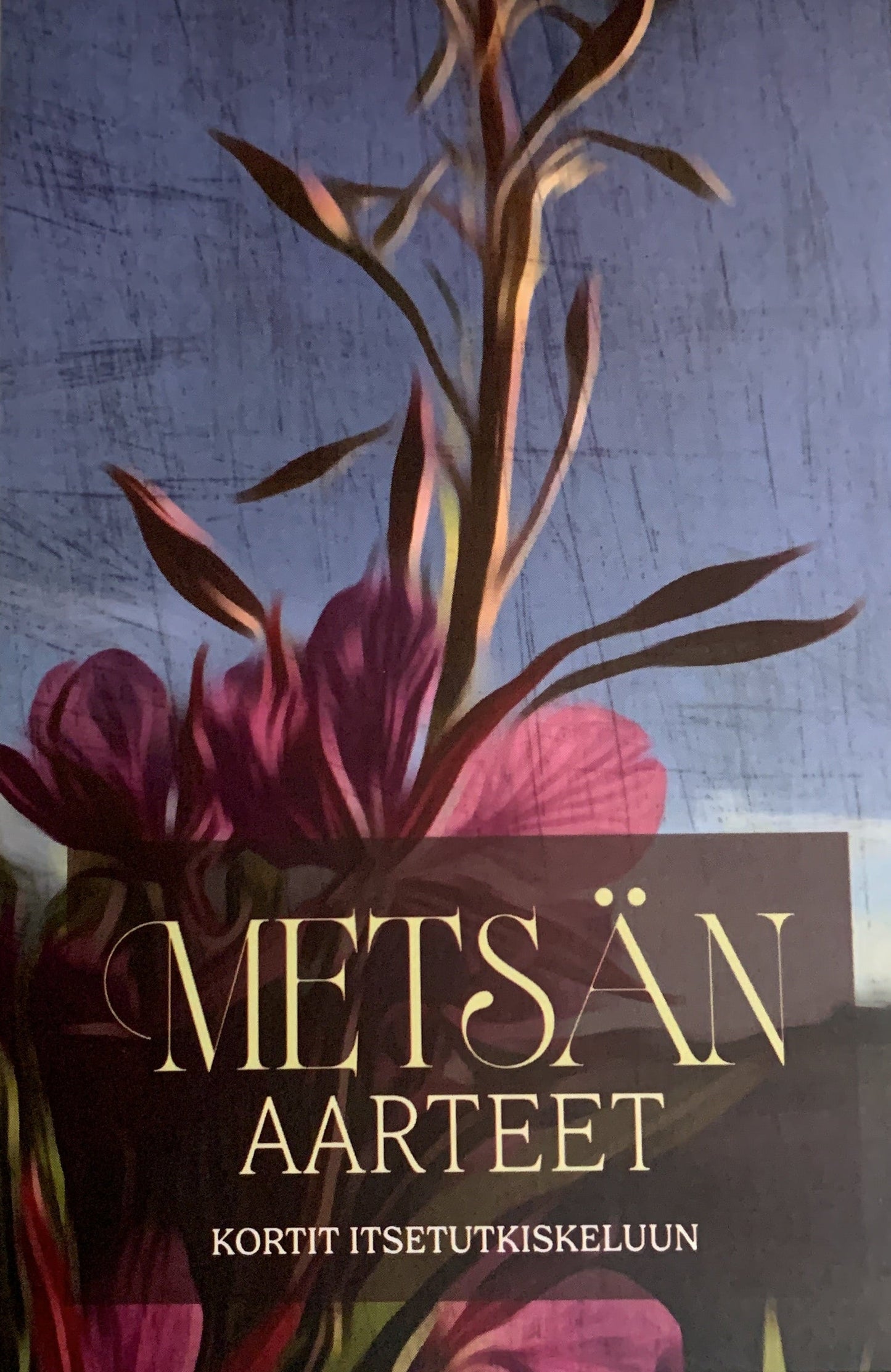 Metsän aarteet-korttipakka