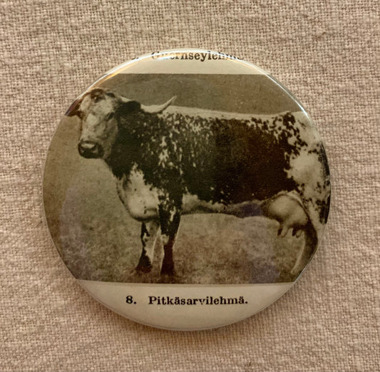 Rintanappi: Pitkäsarvilehmä
